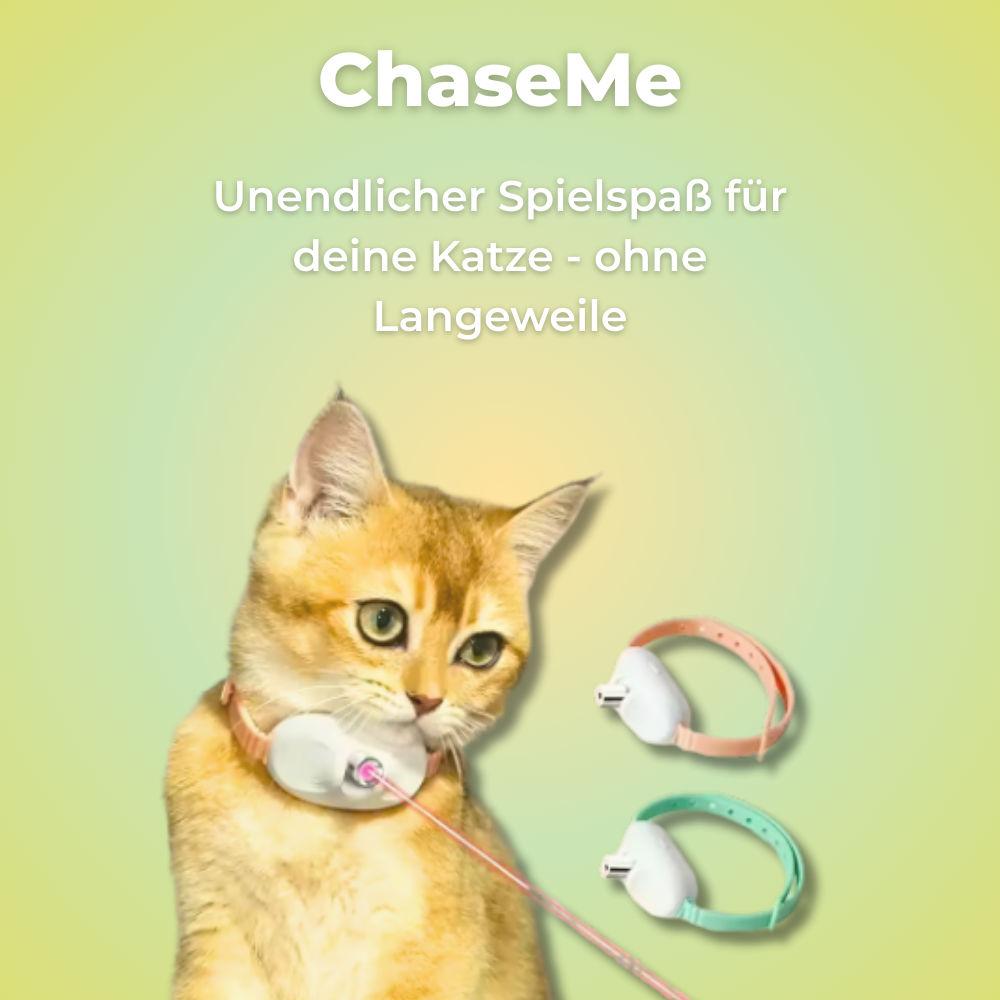 ChaseMe