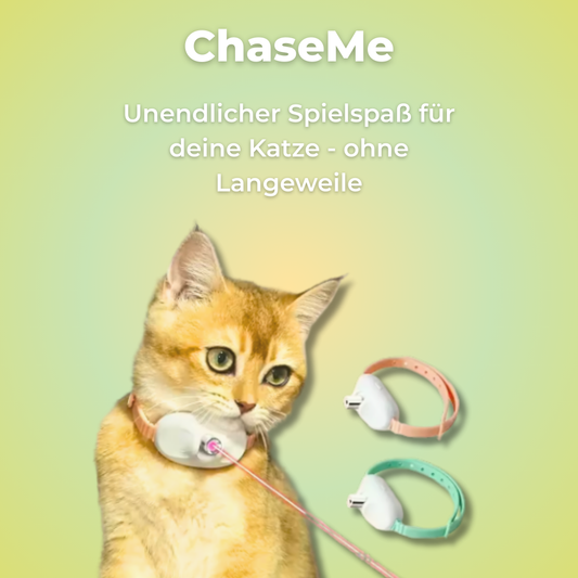 ChaseMe